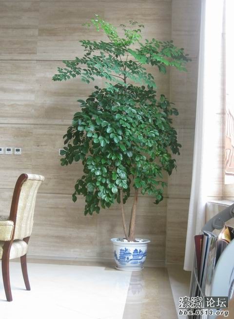 旋转 调整大小 IMG_8518.JPG