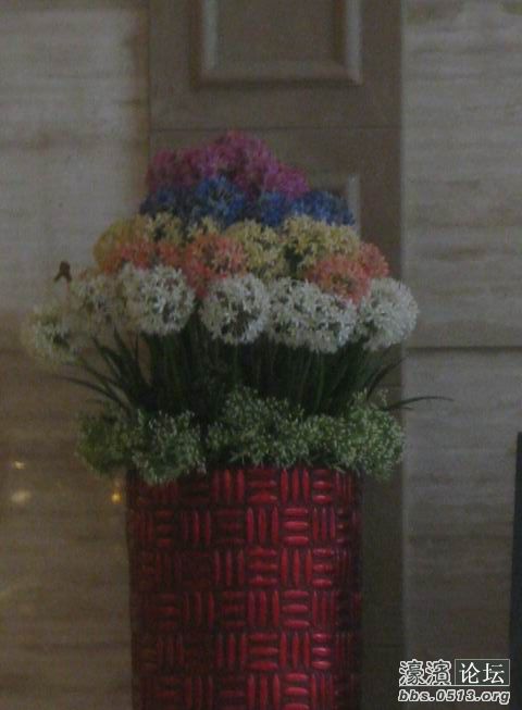 旋转 调整大小 IMG_8517.JPG