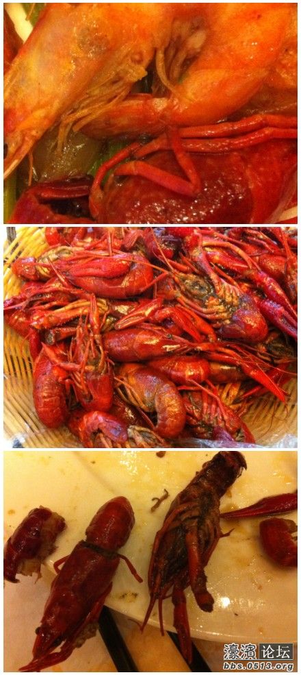 拼图龙虾.jpg