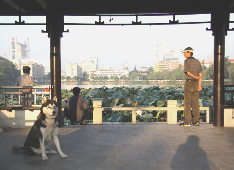 启秀码头的早晨