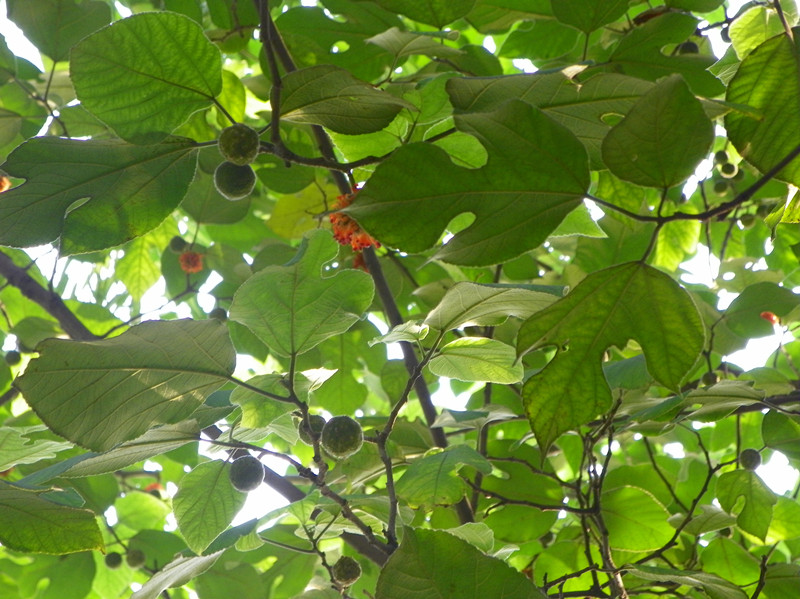 照片 336b_副本_副本.jpg