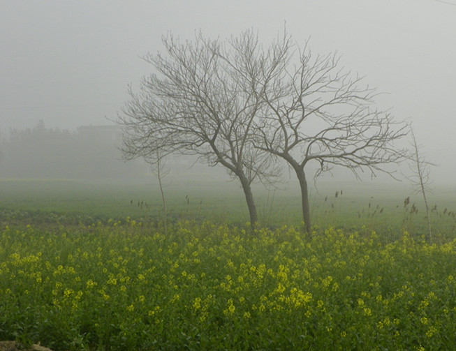 照片 173b_副本.jpg