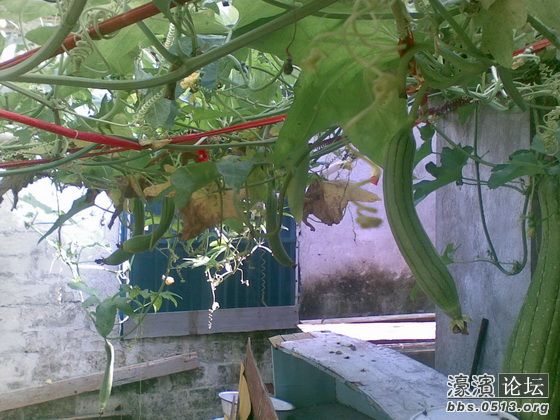 照片 001_调整大小.jpg