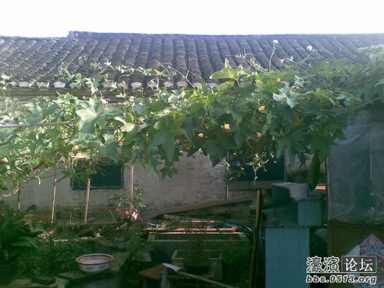 照片 002_调整大小.jpg