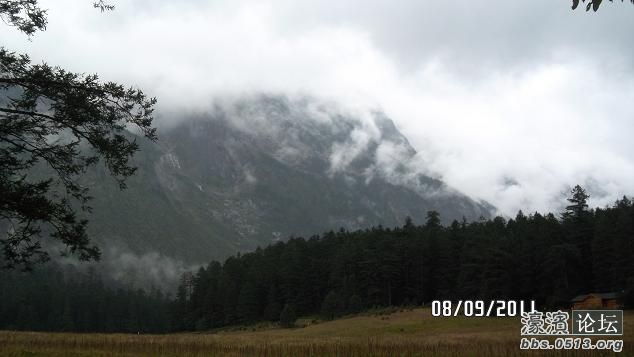 玉龙雪山3000多米的云杉坪