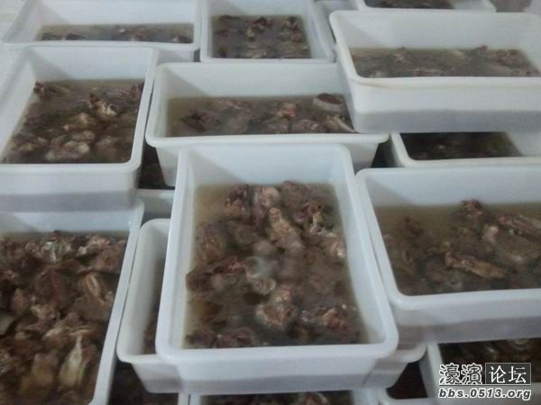 2011-10-09 12.19.43.jpg