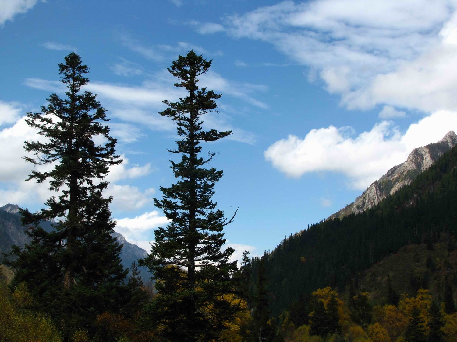 调整大小 IMG_1794.jpg