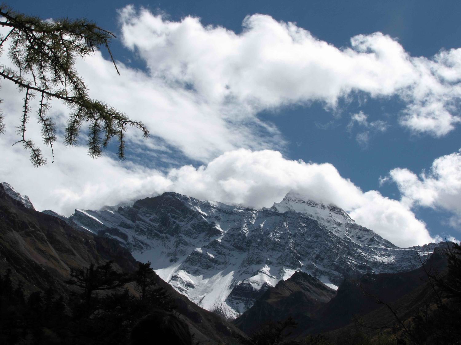 调整大小 IMG_1934.jpg