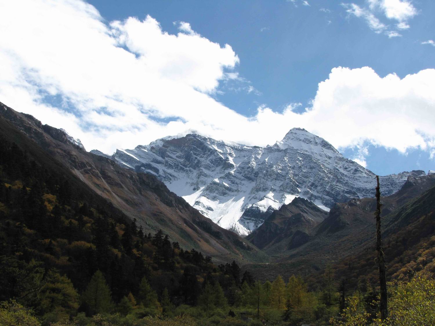 调整大小 IMG_1941.jpg