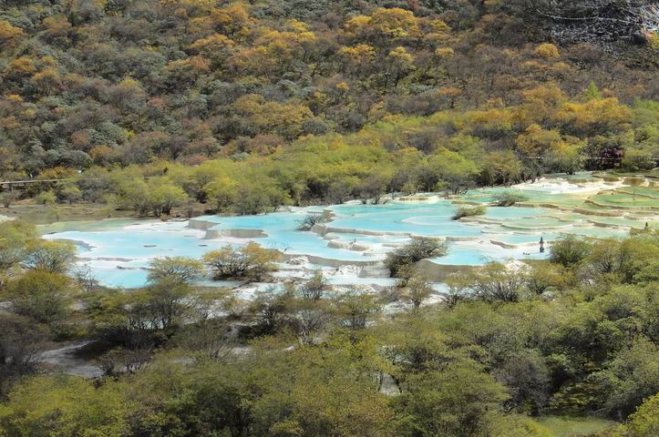 调整大小 DSC01394.JPG