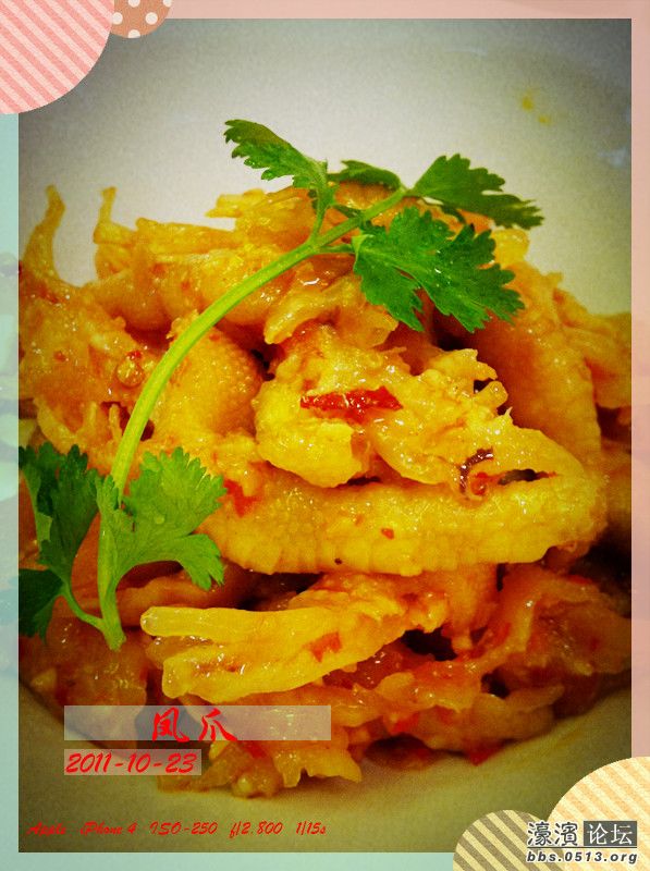 照片 025_副本.jpg