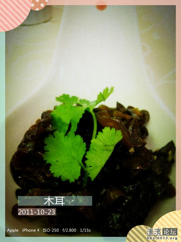 照片 026_副本.jpg