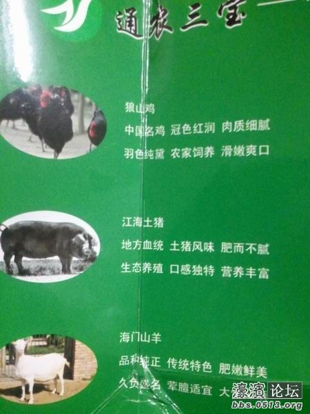 2011-10-19 18.56.10.jpg