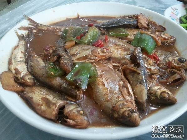 2011-11-14 12.05.41.jpg