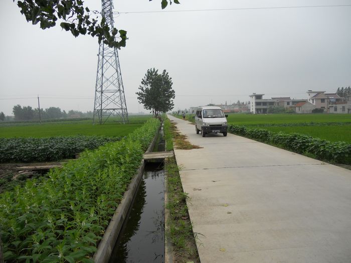 金沙金北村村级大道