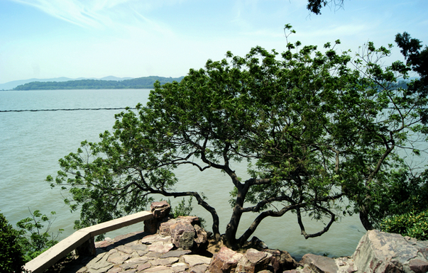 太湖鼋头渚_ (13).jpg