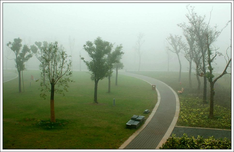 雾中即景1.jpg