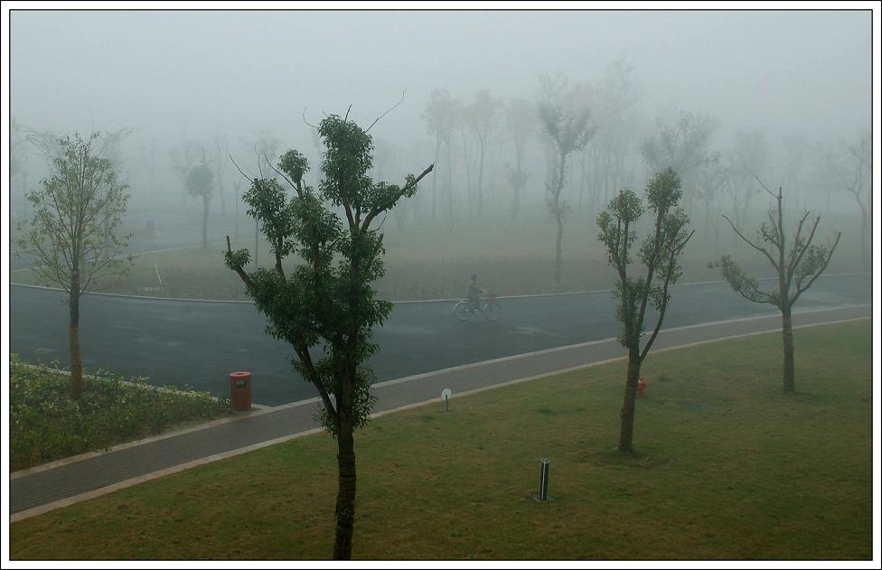 雾中即景.jpg