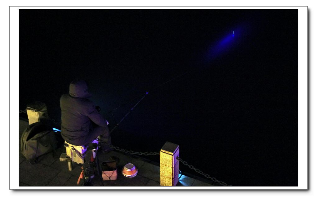 夜钓.jpg