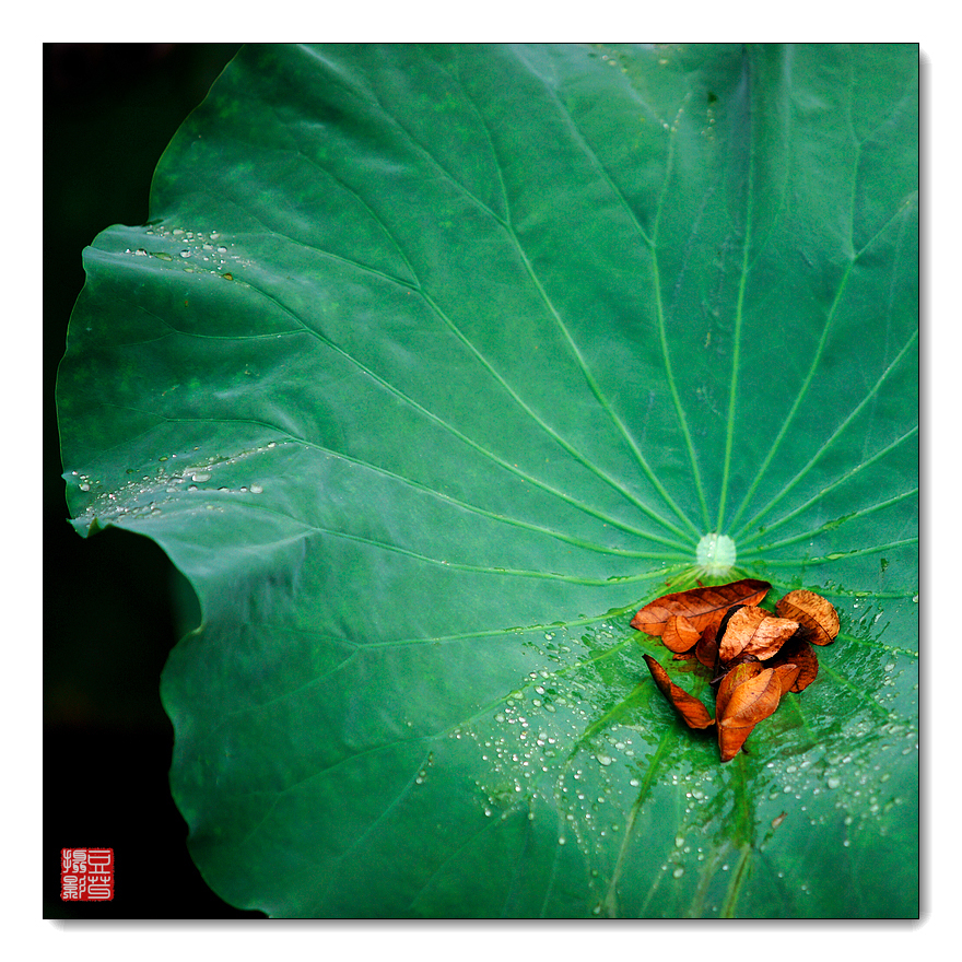 DSC00661 - 副本.jpg