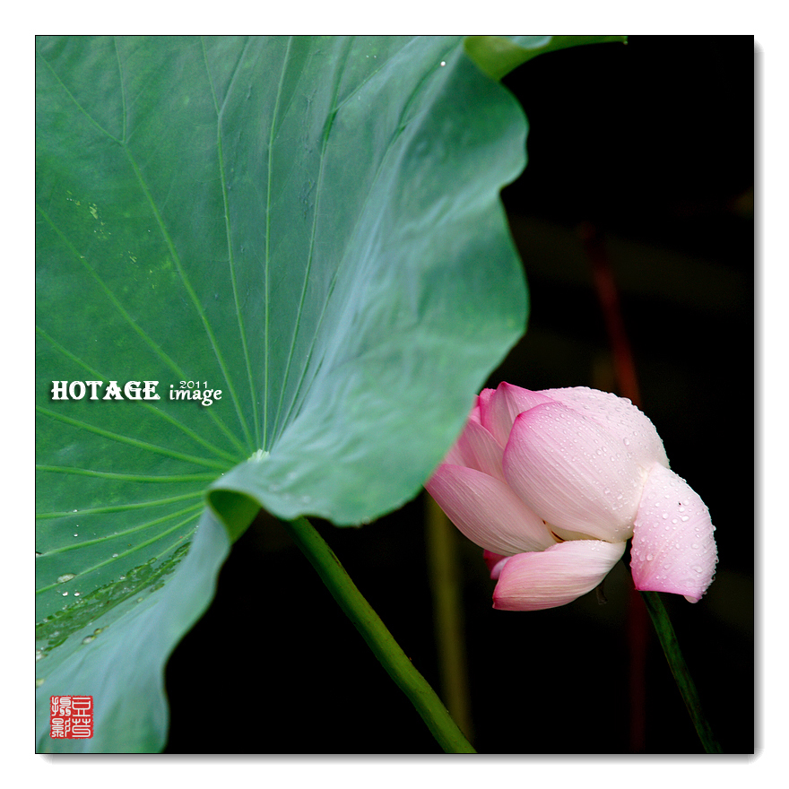 DSC00671 - 副本.jpg