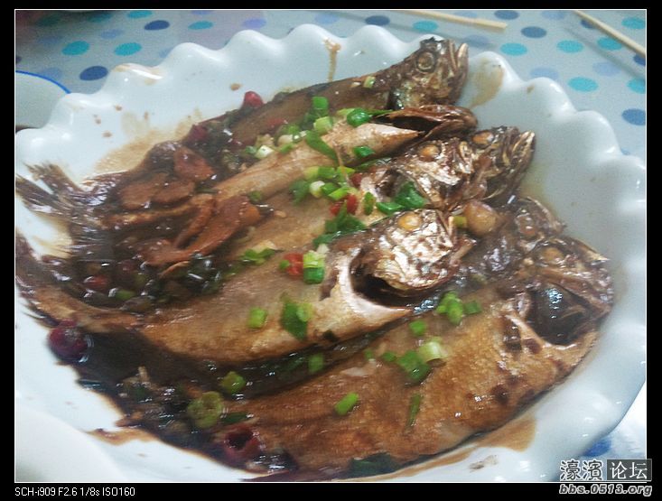 nEO_IMG_2012-01-18 12.08.15.jpg