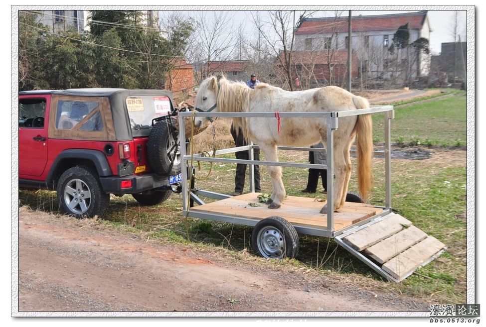 马车4.JPG