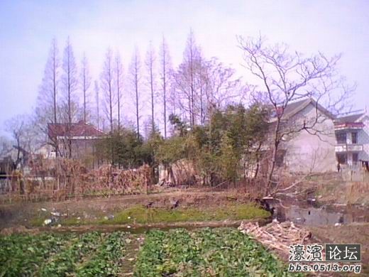 调整大小 IMG5477A.jpg