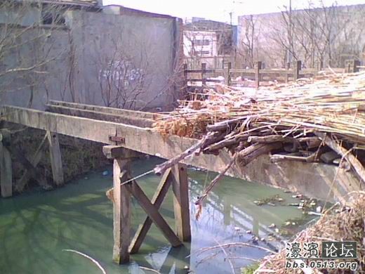 调整大小 IMG5475A.jpg