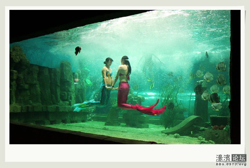 南通海底世界图片.jpg