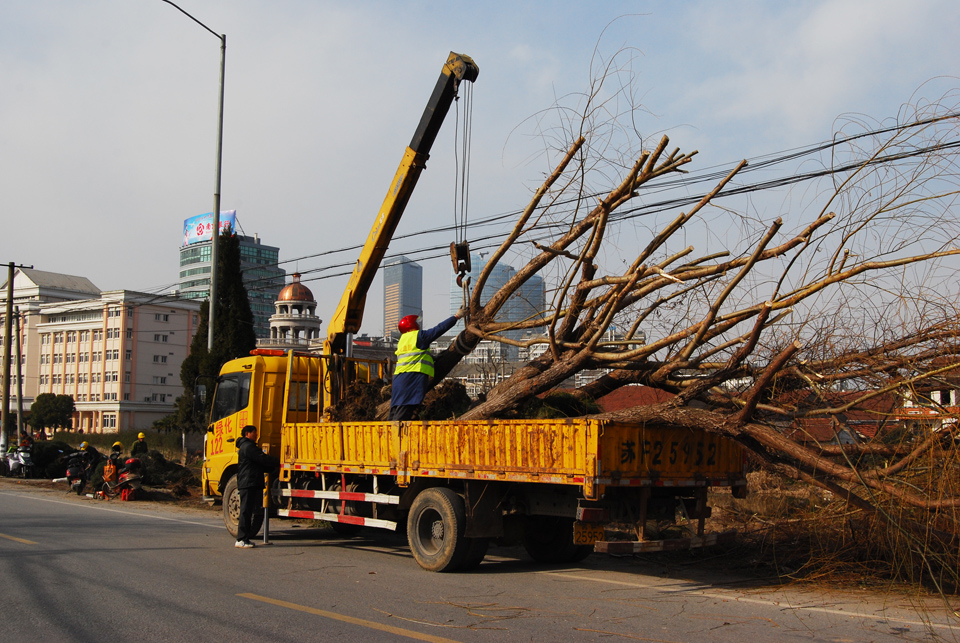 通启路高架工程启动  几十年老路华丽转身 (1).jpg