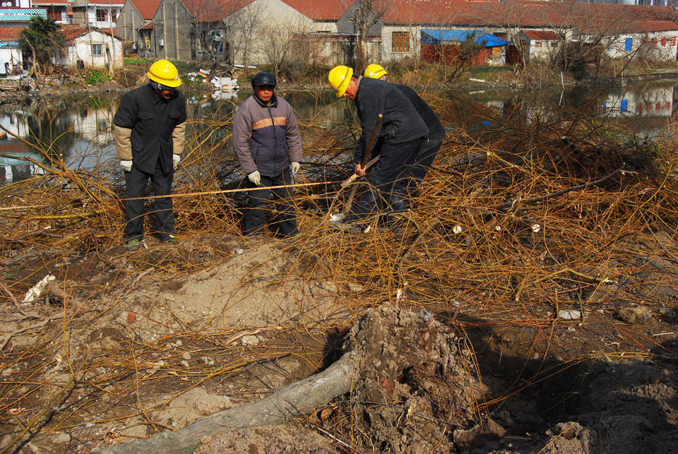 通启路高架工程启动  几十年老路华丽转身 (3).jpg