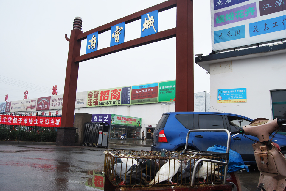 城市管理重头戏  鸽子市场迁淘宝城交易(8).jpg