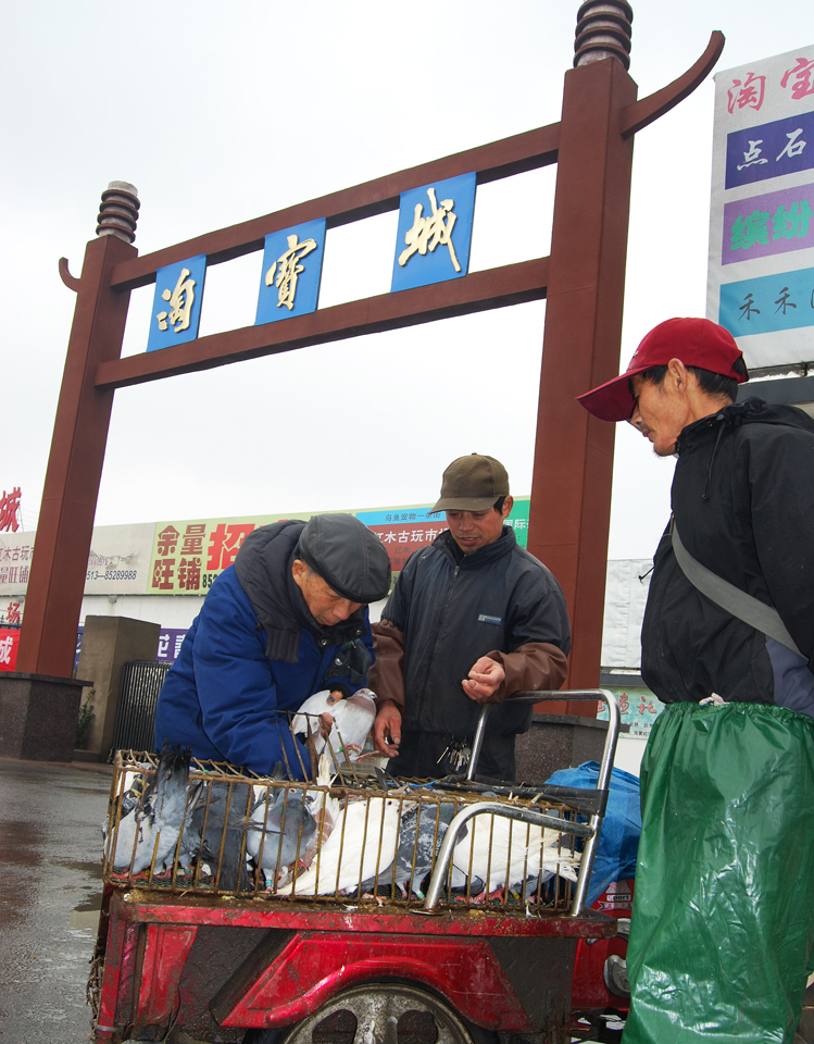 城市管理重头戏  鸽子市场迁淘宝城交易 (1).jpg