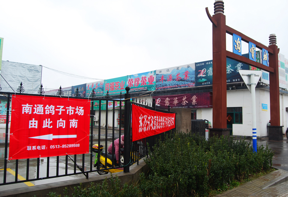 城市管理重头戏  鸽子市场迁淘宝城交易 (6).jpg