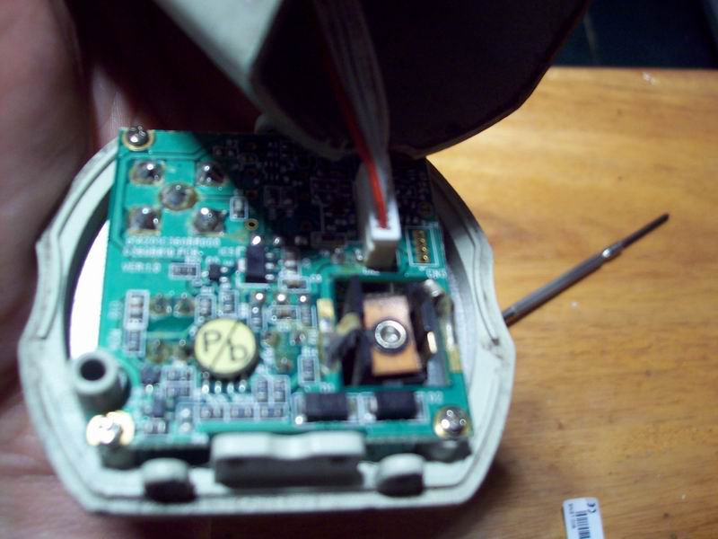 调整大小 100_7226.jpg