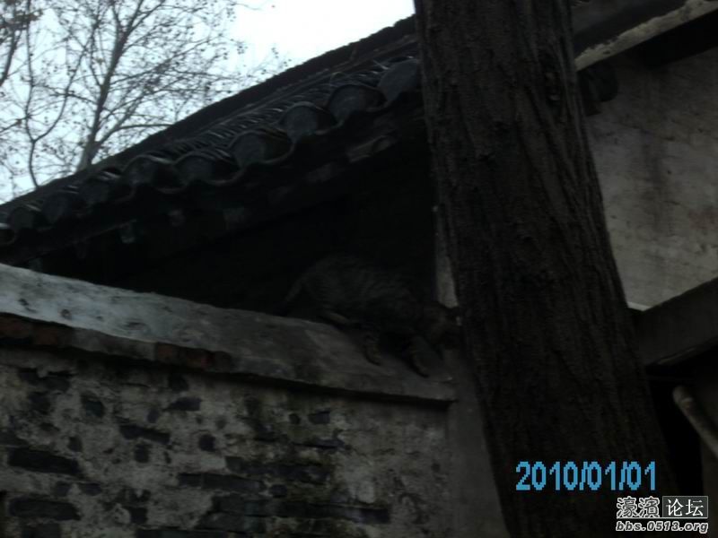 重新曝光 调整大小 IMG_0932.JPG