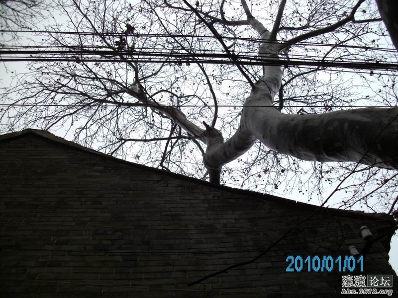 重新曝光 调整大小 IMG_0943.JPG