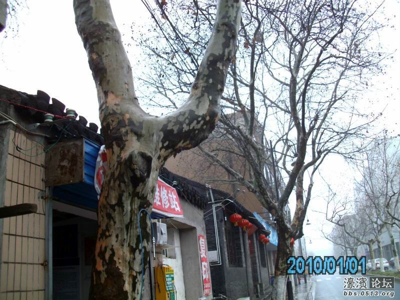 重新曝光 调整大小 IMG_0944.JPG