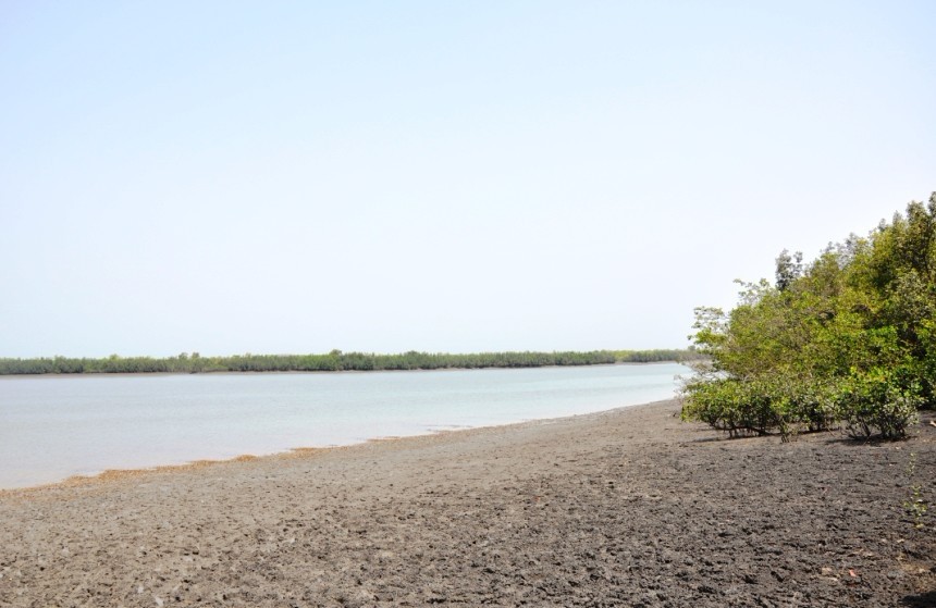 寻找造码头的河流