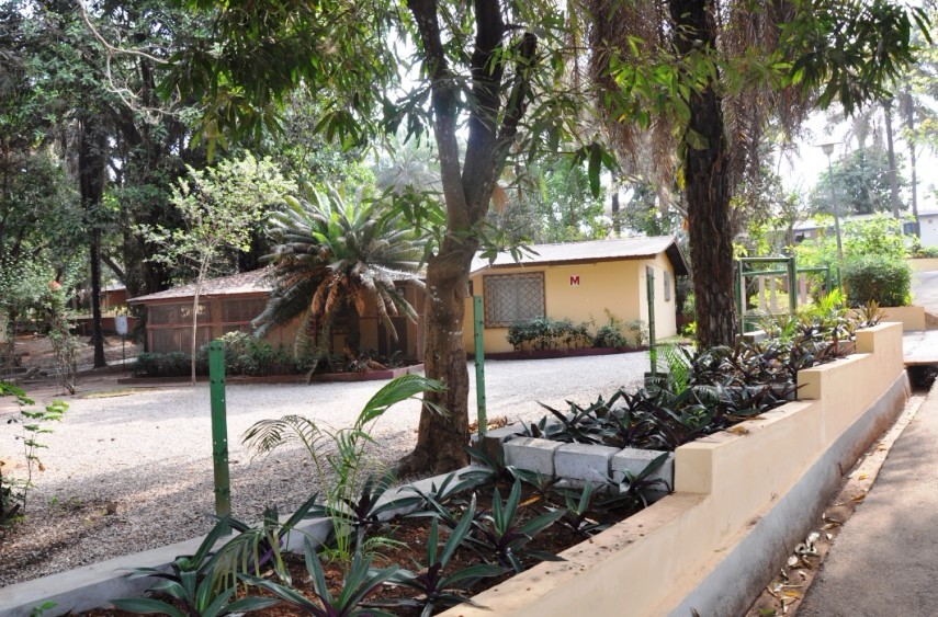 我住了半个月的房子，美国人留下的