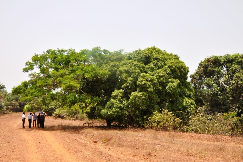 荒岛景色，还不是太荒芜