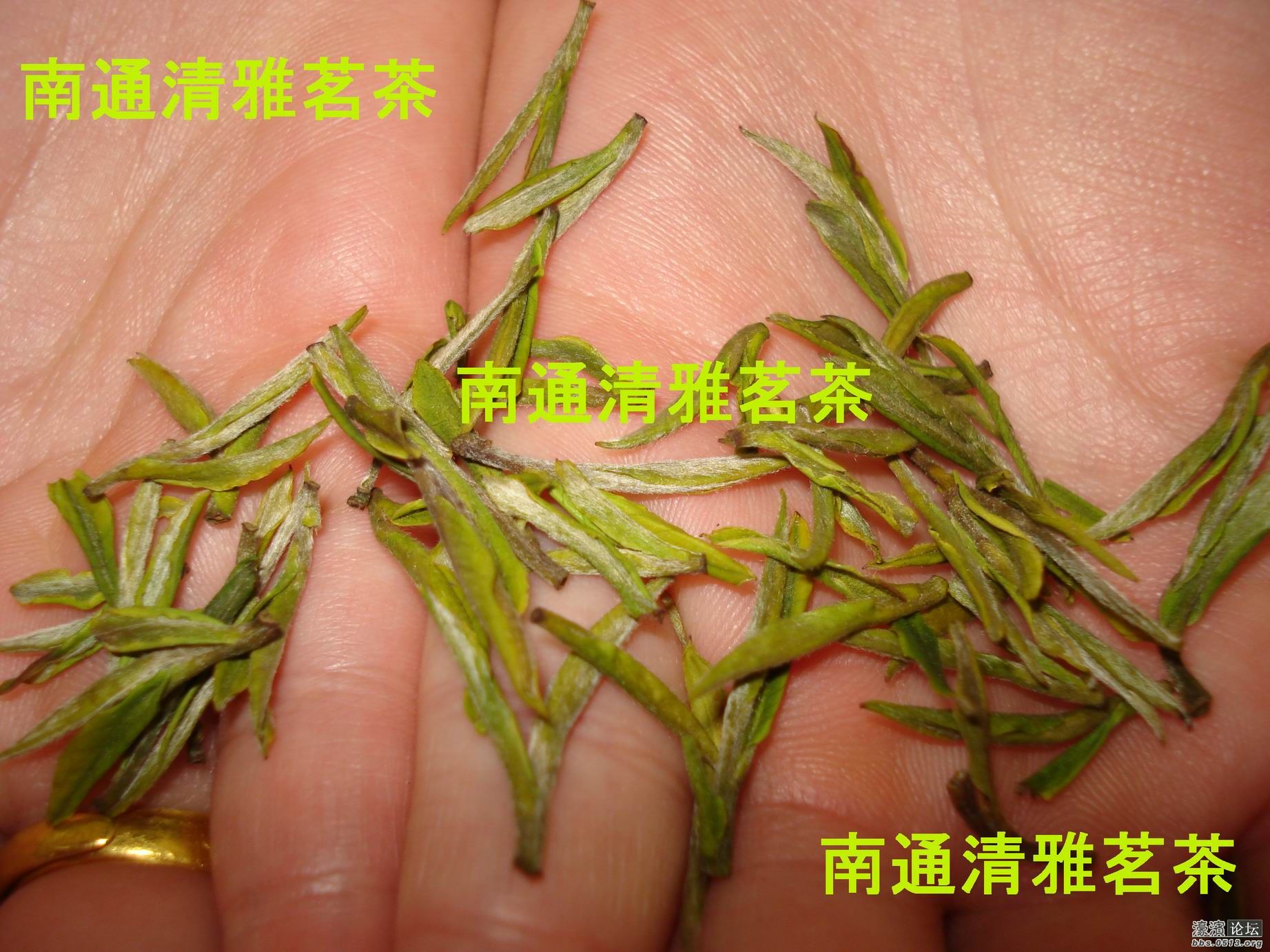 安吉白茶怎么炒 134227tdyx3zgb2fy352b2.jpg