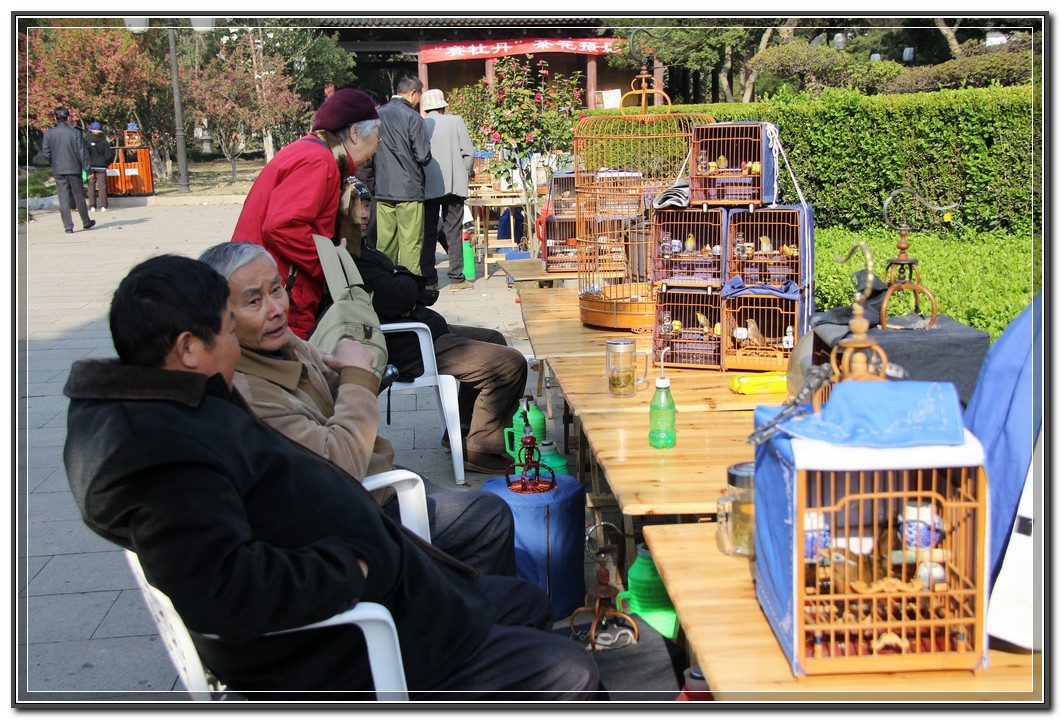 玩鸟友.jpg
