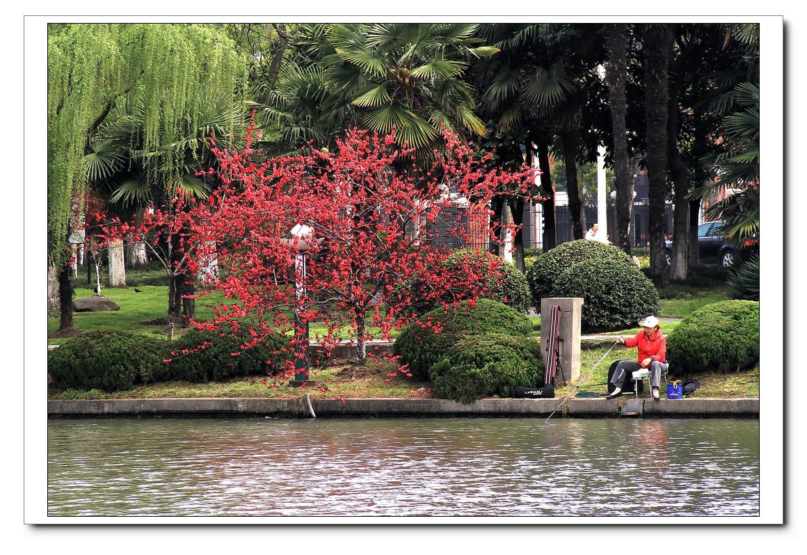 濠河边上的女人 (1).jpg