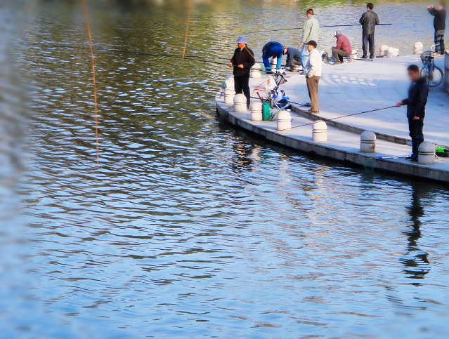 DSC05411 - 副本.JPG