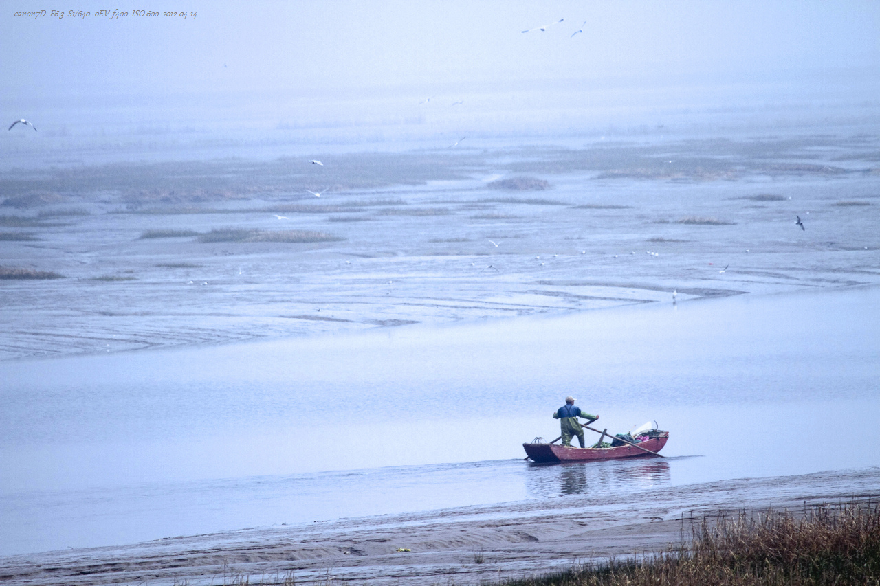 _MG_2666-南黄海滩涂s.jpg