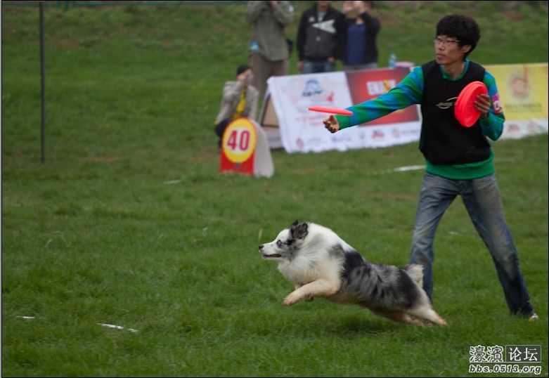 132550f3jmzm991b98u9yp.jpg