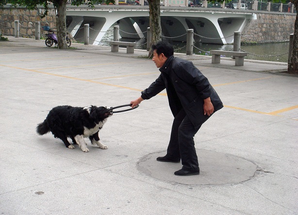 ——我想回家！ - 副本.JPG