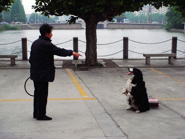 ——坐有坐相！ - 副本.JPG